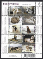 Pays-Bas, Nederland, Netherlands 2015; Animal Portraits By Charlotte Dumas: Cat, Tiger, Dogs, Horses, Fox; 10v M/s - Katten