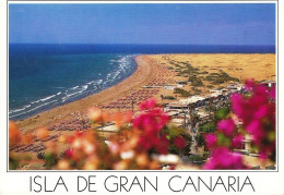 *CPM  - ESPAGNE - CANARIES - GRAN CANARIA - Playa Del INGLES - - Gran Canaria