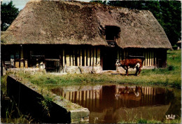 28-3-2024 (4 Y 19) France - Posted 1968) Ferme Nornande / Normady Farm - Boerderijen
