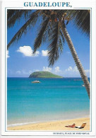 CPM Guadeloupe Deshaies Plage De Port-Royal - Other & Unclassified