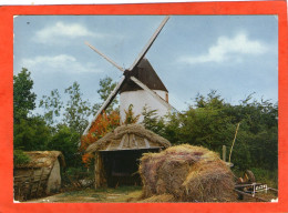 MOULIN Dans Le Marais - Windmühlen
