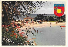 CPM Guadeloupe Case Sur La Plage - Other & Unclassified