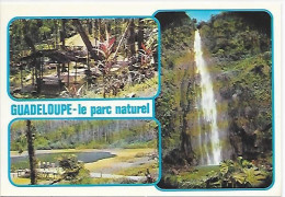 CPM Guadeloupe Le Parc Naturel - Otros & Sin Clasificación