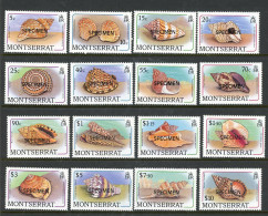 -Montserrat-1988-"Sea Shells" MNH (**) - Montserrat