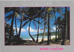 CPM Guadeloupe Les Antilles - Otros & Sin Clasificación