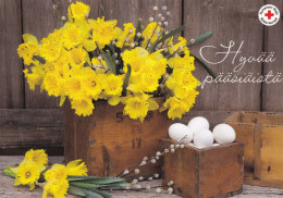 Postal Stationery - Easter Flowers - Daffodils - Willows - Eggs - Red Cross 2016 - Suomi Finland - Postage Paid - Postwaardestukken