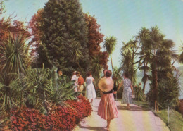 29149 - Mainau - Palmengarten - 1958 - Konstanz