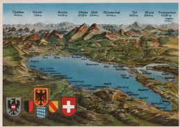 42445 - Bodensee - Übersicht - Ca. 1975 - Mapas