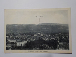 BELLEY   Vue Générale - Belley