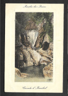 AMELIE LES BAINS    " Cascade D' Anibal "   1910 - Amélie-les-Bains-Palalda