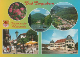 24198 - Bad Bergzabern U.a. Schwanenweiher - Ca. 1995 - Bad Bergzabern