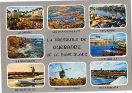 CPM..44..GUERANDE....LA PRESQU'ILE DE GUERANDE ET LA PAYS BLANC - Guérande