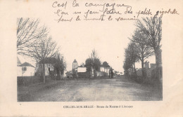 79-CELLES SUR BELLE-N°T337-D/0167 - Celles-sur-Belle