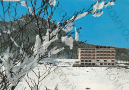 CARTOLINA  C6 SARNANO-SASSOTETTO M.1280,MACERATA,MARCHE-STAZ. CLIM. ESTIVA E INVERNALE HOTEL HERMITAGE-VIAGGIATA 1969 - Macerata