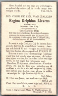 Bidprentje Noorderwijk - Lievens Regina Delphina (1875-1943) - Imágenes Religiosas