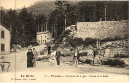 CORSE  - Vue Prise De La Gare De VIZZAVONA - Entrée De La Forêt - Années 1900 - Ed. E. Dumont - Sonstige & Ohne Zuordnung