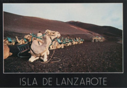 65533 - Spanien - Montanas Del Fuego - Ca. 1980 - Lanzarote