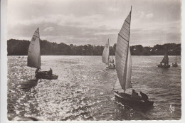 CPSM Paimpol - Canetons Dans Le Port (très Jolie Scène) - Paimpol