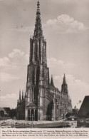 70654 - Ulm - Münster - Ca. 1960 - Ulm