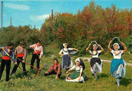 Folklore - Danses - Provence - La Danse De La Moisson - Groupe Folklorique Le Roudelet Felibren De Château Gambert - Voi - Danses