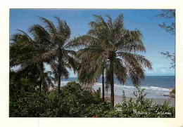 Sénégal - Cap-Skirring - Plage De La Paillote - CPM - Voir Scans Recto-Verso - Senegal