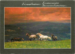 Animaux - Chevaux - Coucher De Soleil - CPM - Voir Scans Recto-Verso - Horses