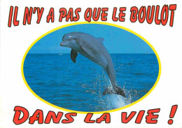 Animaux - Dauphin - Dolphin - Carte à Message - CPM - Carte Neuve - Voir Scans Recto-Verso - Dolphins