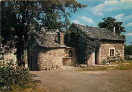 Belgique - Ardennes Belges - CPM - Voir Scans Recto-Verso - Otros & Sin Clasificación