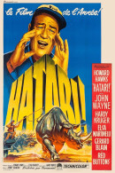 Cinema - Hatari - John Wayne - Hardy Kruger - Elsa Martinelli - Illustration Vintage - Affiche De Film - CPM - Carte Neu - Plakate Auf Karten