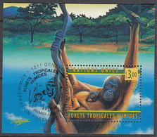 UNO GENF  Block 10, Gestempelt, 50 Jahre WHO, 1998, Orang-Utan - Blocs-feuillets