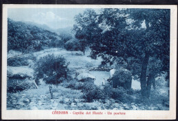 Argentina - Cordoba - Capilla Del Monte - Un Pastero - Argentinien