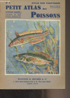 Petit Atlas Des Poissons - II - Poissons Marins - "Atlas Des Vertébrés" Fasc. II - Bertin Léon - 1946 - Animaux