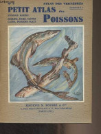 Petit Atlas Des Poissons - I - Poissons Marins - "Atlas Des Vertébrés" Fasc. II - Bertin Léon - 1946 - Dieren