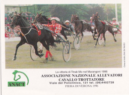 Calendarietto - Associazione Nazionale Allevatori Cavallo Trottatore - Fiera Verona - Anno 1997 - Formato Piccolo : 1991-00