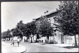 493 - Bosnia And Herzegovina - Metkovic 1964 - Postcard - Bosnia And Herzegovina