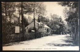 Saint Brévin L'Océan - Avenue Des Châlets - 44 - Saint-Brevin-l'Océan