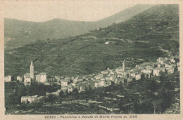 COSIO  /  Panorama E Veduta Di Monte Fronte _ Viaggiata - Sondrio