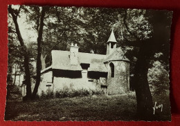 CPSM Grand Format - Rambouillet -(Seine-Oise) - Parc Du Château, L'Hermitage ( Au Verso: Pommade Dextraine) - Rambouillet