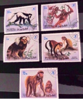 FUJEIRA 5 V Oblitérés MI 1532 A 1536A Singe Monkey Monos Mammifère Mammal Mamífero Saügetier - Scimmie