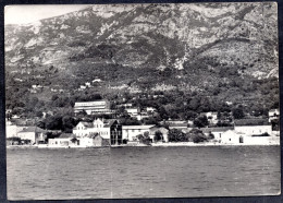 509 - Montenegro - Risan 1964 - Postcard - Montenegro