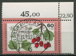 Bund 1979 Wohlfahrt: Blätter, Blüten U. Früchte Des Waldes 1026 KBWZ Gestempelt - Usados