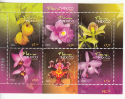 2010 Mexico Orchids Flowers Fleurs Miniature Sheet Of 6 MNH - Mexique