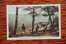 85 - ILE DE NORMOUTIER : Sous Les Frais Ombrage Du Bois De CHAIZE - Ile De Noirmoutier