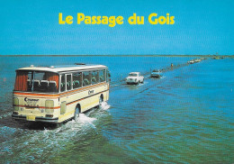 CPSM - (Dep-85) - LE PASSAGE DU GOIS-- ( BUS CAR + Peugeot 403 + SIMCA 1100 ) - Voitures De Tourisme