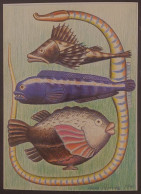 Carte Postale - Havets Gader 2 (poissons) Illustration : Anne Arentz - Vissen & Schaaldieren