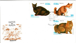 CUBA, FDC, Pedigree Cats   /  Lettre De Première Jour, Chats De Race,  1994 - Gatos Domésticos