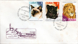 CUBA, FDC, House Cat, Panther, Lion   /  Lettre De Première Jour, Chat Domestique, Panthère, Lion    1977 - Andere & Zonder Classificatie