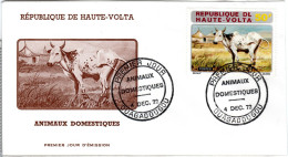 FDC  UPPER VOLTA, Cow     /    HAUTE VOLTA  Lettre De Première Jour, Vache   1972 - Koeien