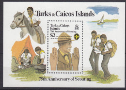 Turks + Caicos Pfadfinder SCOUTS Block 1982 **    (5274 - Otros & Sin Clasificación