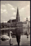 AK Schwerin 1966 Pfaffenteich Mit Dom Und Schwan    (6966 - Andere & Zonder Classificatie